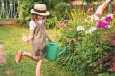 Do you have any of these plants in your garden? They could be harmful to children