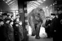Nellie the elephant leaves Brighton station circa 1935