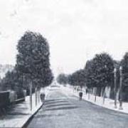 Greener times: London Road was once lined with trees