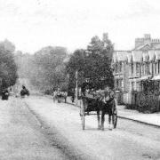 Horses were used for personal transport as well as for commercial purposes. Here three horses and carts are the only traffic in early1900s London Road, Redhill