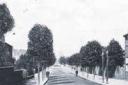 Greener times: London Road was once lined with trees