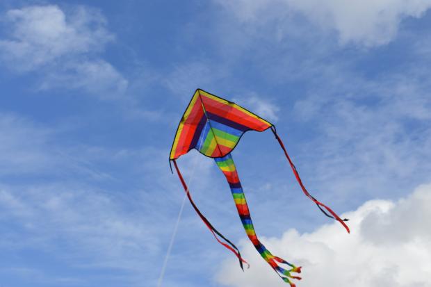 Redhill And Reigate Life: A kite in the air (Canva)